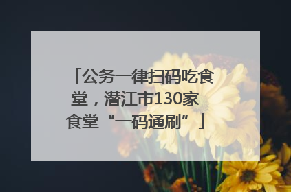 公务一律扫码吃食堂，潜江市130家食堂“一码通刷”