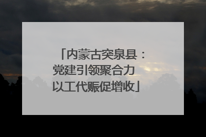 内蒙古突泉县：党建引领聚合力 以工代赈促增收