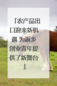 农产品出口迎来新机遇 为返乡创业青年提供了新舞台
