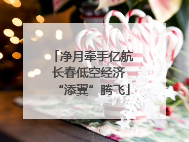 净月牵手亿航 长春低空经济“添翼”腾飞
