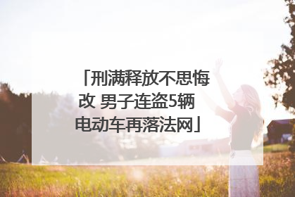 刑满释放不思悔改 男子连盗5辆电动车再落法网
