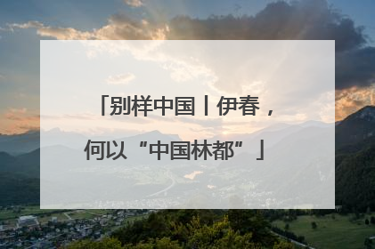 别样中国丨伊春，何以“中国林都”