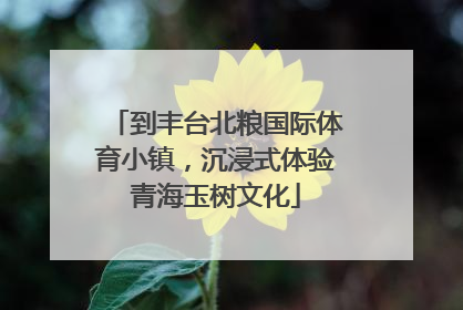 到丰台北粮国际体育小镇，沉浸式体验青海玉树文化