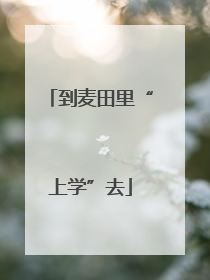 到麦田里“上学”去