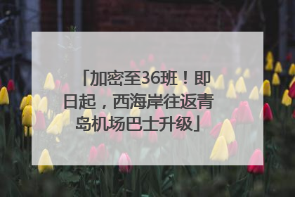 加密至36班！即日起，西海岸往返青岛机场巴士升级