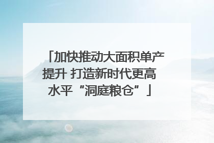 加快推动大面积单产提升 打造新时代更高水平“洞庭粮仓”