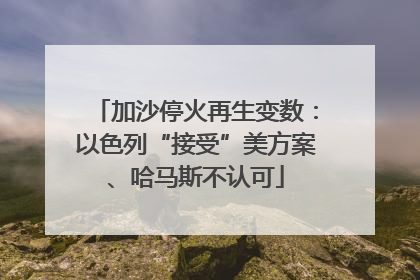 加沙停火再生变数：以色列“接受”美方案、哈马斯不认可