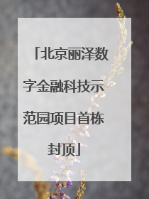 北京丽泽数字金融科技示范园项目首栋封顶