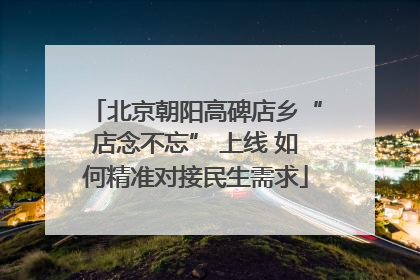 北京朝阳高碑店乡“店念不忘” 上线 如何精准对接民生需求