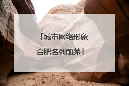 城市网络形象合肥名列前茅