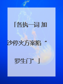 各执一词 加沙停火方案陷“罗生门”