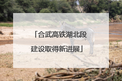 合武高铁湖北段建设取得新进展