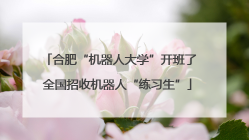 合肥“机器人大学”开班了 全国招收机器人“练习生”