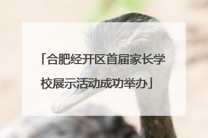 合肥经开区首届家长学校展示活动成功举办