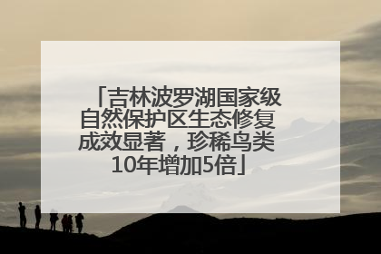 吉林波罗湖国家级自然保护区生态修复成效显著，珍稀鸟类10年增加5倍