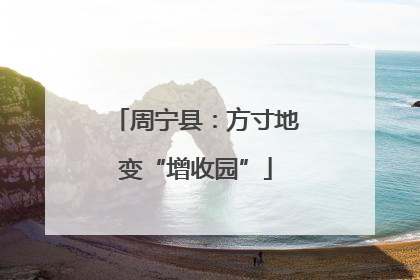 周宁县：方寸地变“增收园”