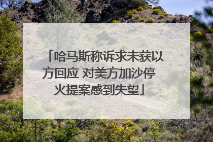 哈马斯称诉求未获以方回应 对美方加沙停火提案感到失望