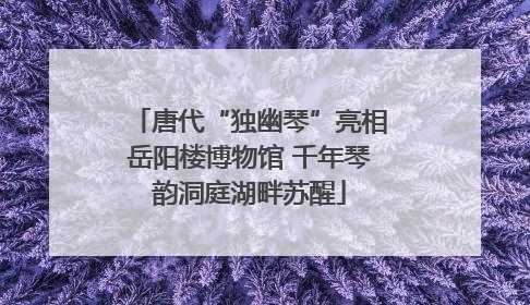 唐代“独幽琴”亮相岳阳楼博物馆 千年琴韵洞庭湖畔苏醒