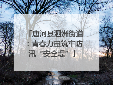 唐河县泗洲街道：青春力量筑牢防汛“安全堤”