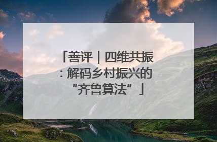 善评｜四维共振：解码乡村振兴的“齐鲁算法”