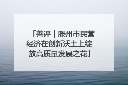 善评｜滕州市民营经济在创新沃土上绽放高质量发展之花