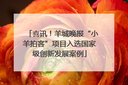 喜讯！羊城晚报“小羊拍客”项目入选国家级创新发展案例