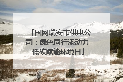 国网瑞安市供电公司：绿色同行添动力 低碳赋能环境日