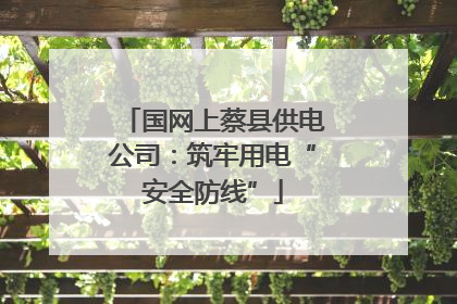 国网上蔡县供电公司：筑牢用电“安全防线”