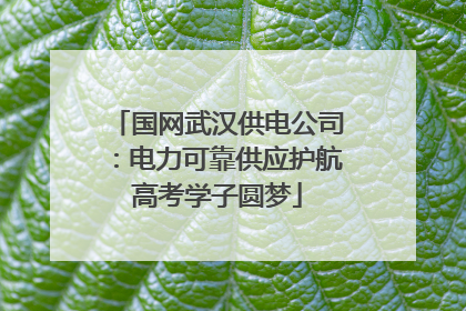 国网武汉供电公司：电力可靠供应护航高考学子圆梦