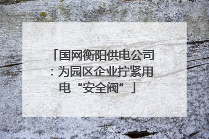 国网衡阳供电公司：为园区企业拧紧用电“安全阀”