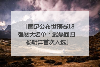 国足公布世预赛18强赛大名单：武磊回归 杨明洋首次入选