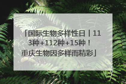 国际生物多样性日丨113种+112种+15种！重庆生物因多样而精彩