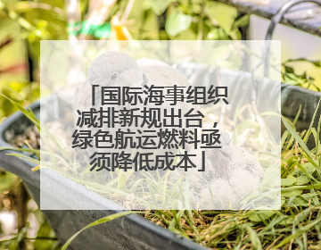 国际海事组织减排新规出台，绿色航运燃料亟须降低成本