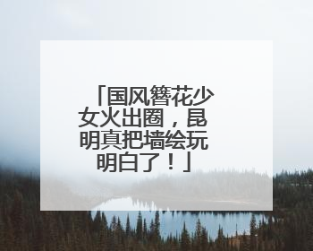 国风簪花少女火出圈，昆明真把墙绘玩明白了！