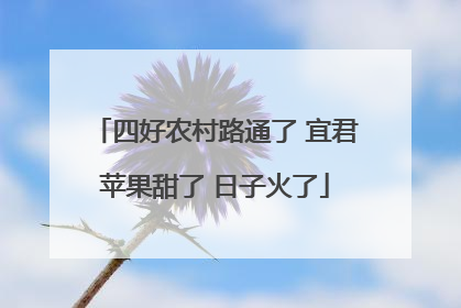 四好农村路通了 宜君苹果甜了 日子火了