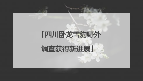 四川卧龙雪豹野外调查获得新进展