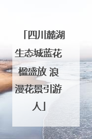 四川麓湖生态城蓝花楹盛放 浪漫花景引游人