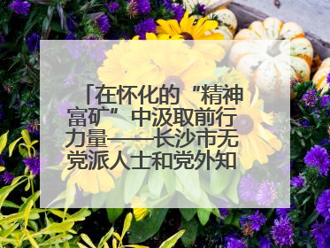 在怀化的“精神富矿”中汲取前行力量——长沙市无党派人士和党外知识分子代表人士培训班在怀化圆满举办