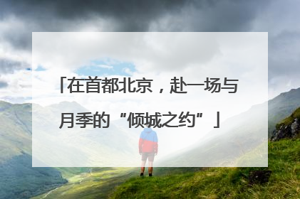 在首都北京，赴一场与月季的“倾城之约”
