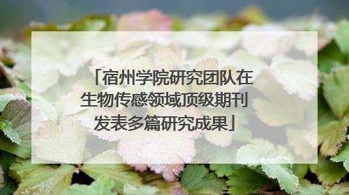 宿州学院研究团队在生物传感领域顶级期刊发表多篇研究成果