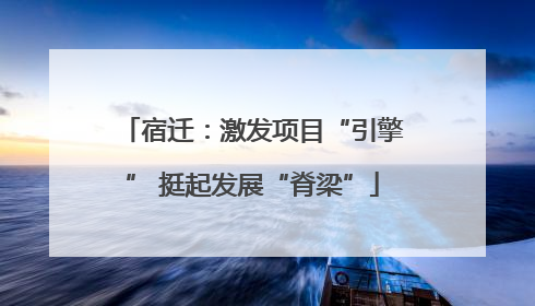 宿迁：激发项目“引擎” 挺起发展“脊梁”