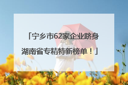 宁乡市62家企业跻身湖南省专精特新榜单！