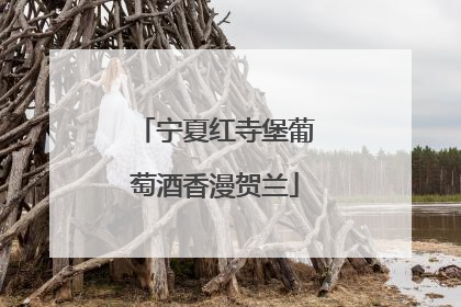 宁夏红寺堡葡萄酒香漫贺兰