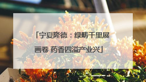 宁夏隆德：绿畴千里展画卷 药香四溢产业兴