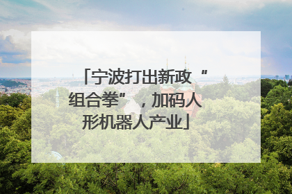 宁波打出新政“组合拳”，加码人形机器人产业