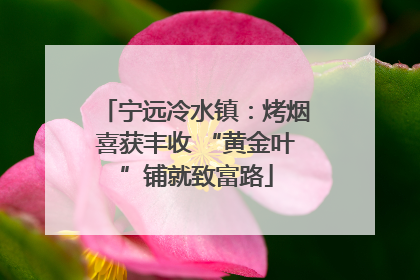 宁远冷水镇：烤烟喜获丰收 “黄金叶”铺就致富路