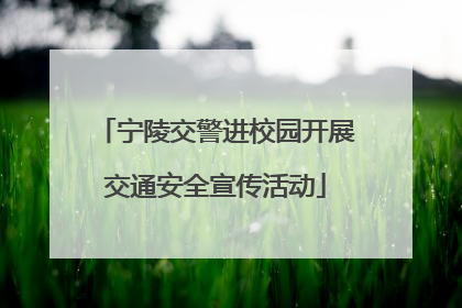 宁陵交警进校园开展交通安全宣传活动