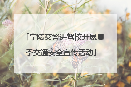 宁陵交警进驾校开展夏季交通安全宣传活动