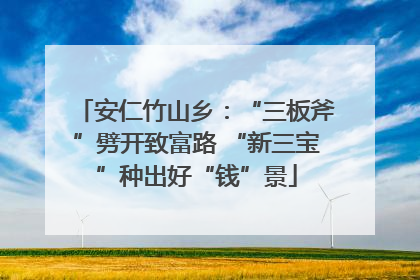 安仁竹山乡：“三板斧”劈开致富路 “新三宝”种出好“钱”景