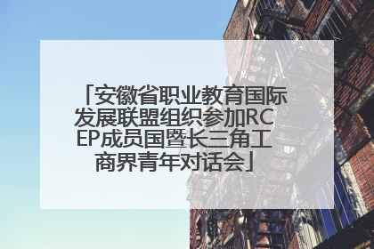 安徽省职业教育国际发展联盟组织参加RCEP成员国暨长三角工商界青年对话会